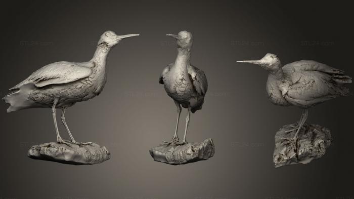 Bird figurines (long billed curlew, STKB_0175) 3D models for cnc